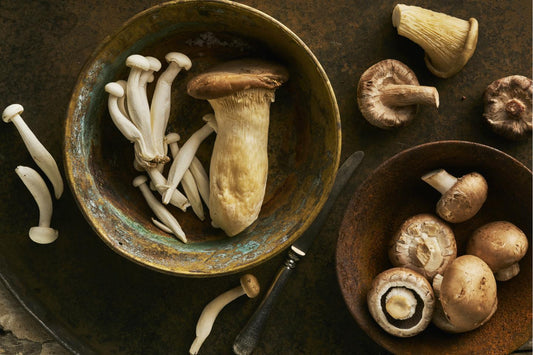 Everything You Need to Know About Drying Mushrooms