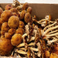Chestnut/ Pretzel Mushrooms