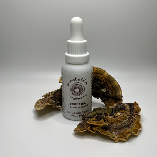 Turkey Tail Tincture